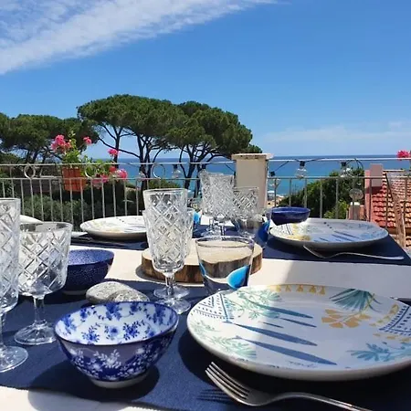 Apartment Il Gelso Terrazza *